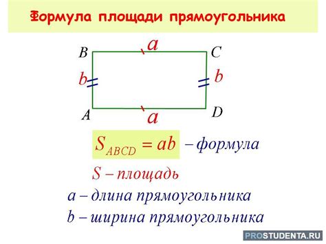 Примеры вычисления площади прямоугольника