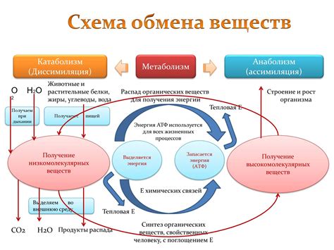 Примеры ситуаций, когда энергетический поток обратен