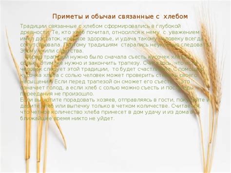 Приметы, связанные с передачей кусочка хлеба в культурах мира