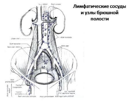 Причины появления невыраженной лимфаденопатии