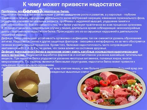 Проблемы, возникающие при питании поросят адаптированным питанием для младенцев