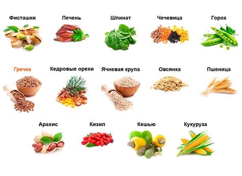 Продукты, богатые железом: где можно найти необходимый элемент для организма