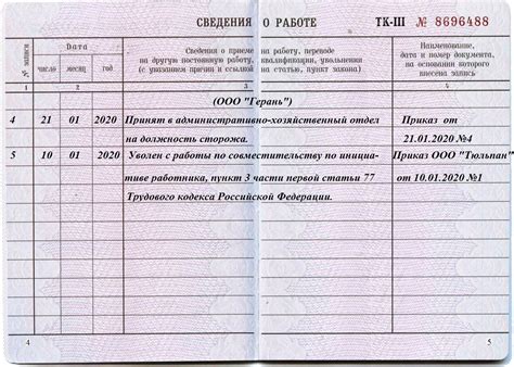 Профессиональное развитие при трудоустройстве по иной трудовой записи