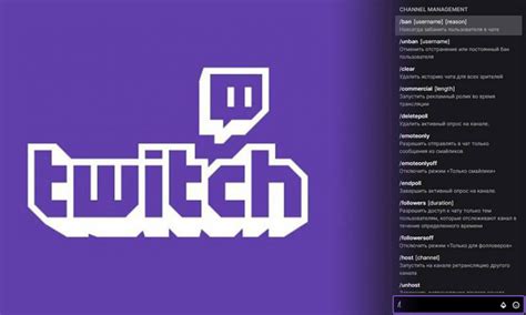 Профессиональный подход к очистке чата модератора на Twitch