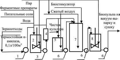 Процесс приготовления азотного питательного состава: пошаговая инструкция