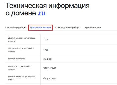 Процесс регистрации домена ru