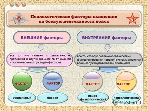 Психологические факторы, влияющие на тренировки и прибавление веса в результате