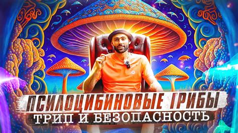 Путешествие в мир своих потенциальных сил