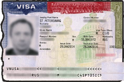 Рабочая трудовая виза в американской территории: требования и процедура получения