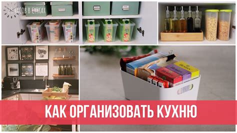 Раздел: Удобство хранения и организации продуктов в мобильном устройстве