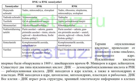 Различия между ниацином и никотинамидом