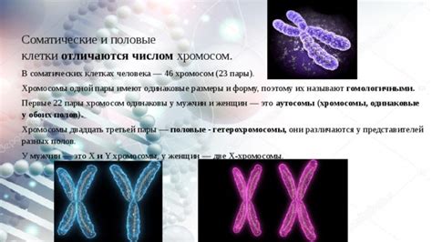 Различные взгляды обоих полов: как считают представители разных полов