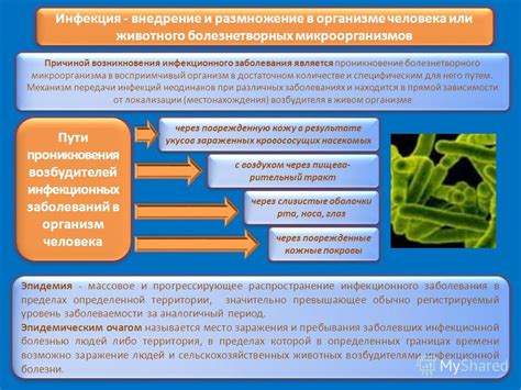 Распространение болезнетворных микроорганизмов через рукавицы