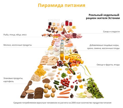 Рацион питания и важные питательные вещества для укрепления волос