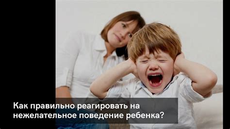 Реагирование на нежелательное поведение котенка