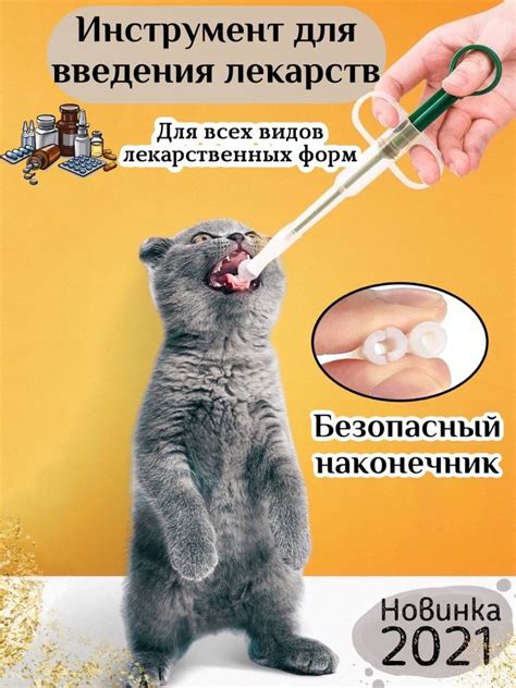 Результаты исследований и рекомендации ветеринаров