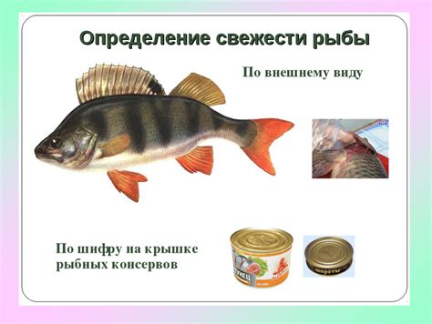 Рекомендации по безопасному потреблению рыбных продуктов для предотвращения заражения паразитами