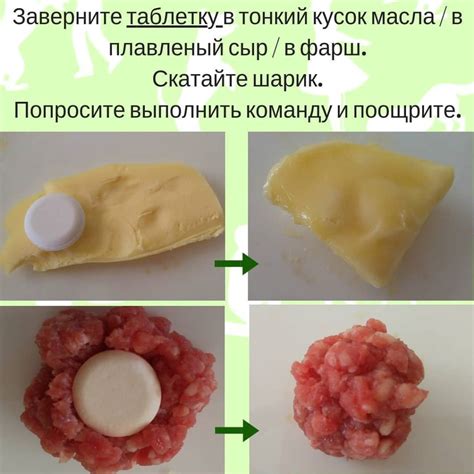 Рекомендации по питанию питомца после эпизода рвотных проявлений