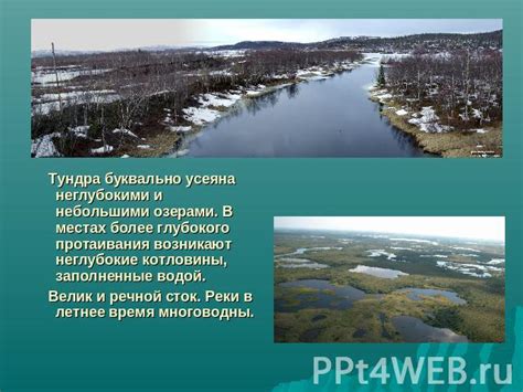 Роль влажных угодий и природных водоемов в формировании биоразнообразия тундры