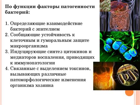 Роль в развитии заболеваний