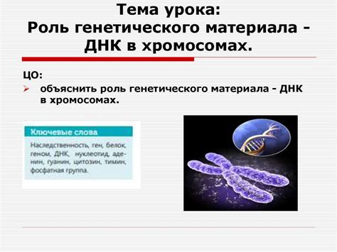 Роль генетического наследования в формировании характеристик организма