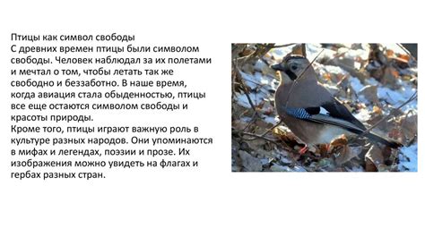 Роль пепла для птиц