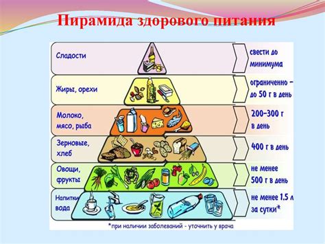 Роль питания в формировании накопления жира в организме: подкожного и внутреннего