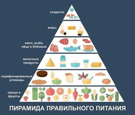 Роль правильного питания и режима питания в формировании пресса
