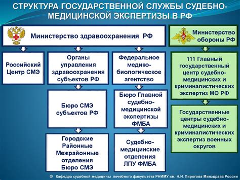 Роль правоохранительных органов в процессе судебно-медицинской экспертизы