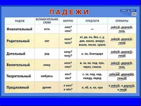 Роль родительного падежа в языке: его влияние на структуру и смысл предложений