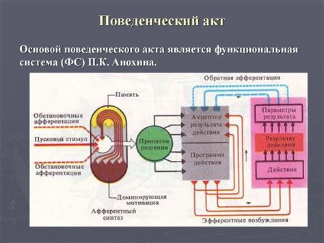 Роль сравнивателя в сигнальных системах