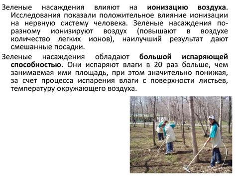 Роль условий окружающей среды в явлении появления голубизны на грибе