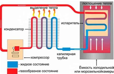 Роль функции в холодильнике