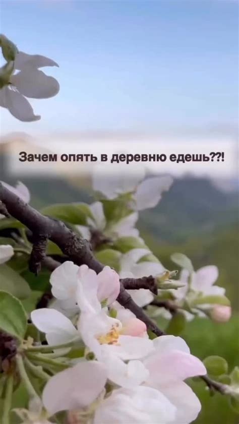 Свежий воздух и близость к природе