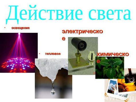 Световые явления: последние новости и факты
