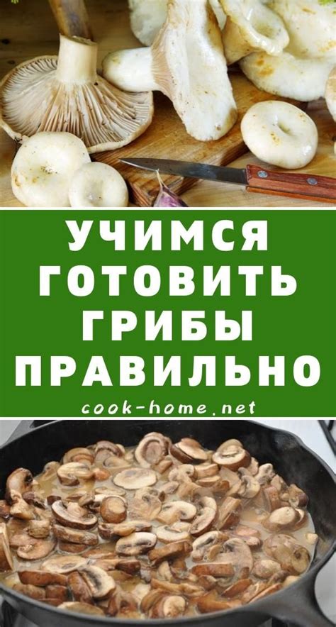 Секреты гармоничного сочетания вкуса и текстуры грибных блюд