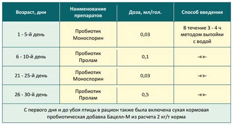 Секреты эффективного применения пробиотических препаратов для обеспечения здоровья
