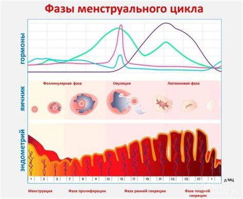 Симптомы и признаки нарушения месячного цикла