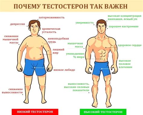 Симптомы низкого уровня ДГЭА