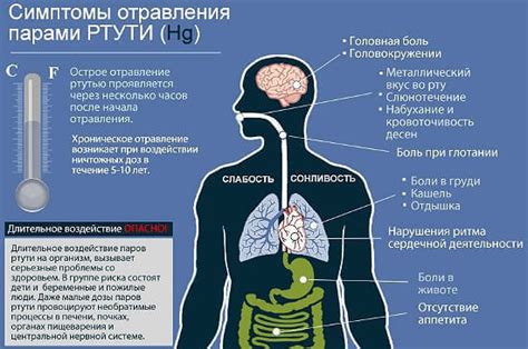 Снижение вероятности отравления ртутью: эффективные меры предосторожности