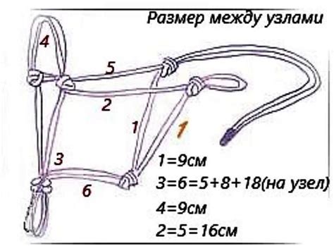 Соберите недоуздок для вашей лошади: пошаговая схема
