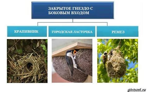 Советы по выбору размеров и формы гнезд
