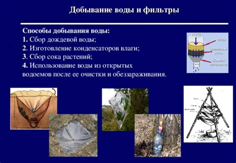 Советы по употреблению и применению дождевой влаги в городских условиях