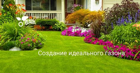 Сохранение безупречного газона на протяжении всего года: несколько секретов