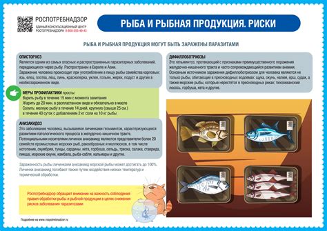 Сохранение свежести: условия и сроки хранения