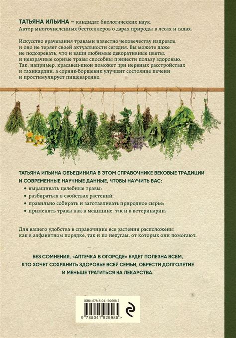 Сочетание целебных растений в настое: непредсказуемое взаимодействие фитоэлементов