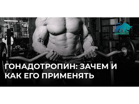 Специализированные аксессуары: зачем и как применять