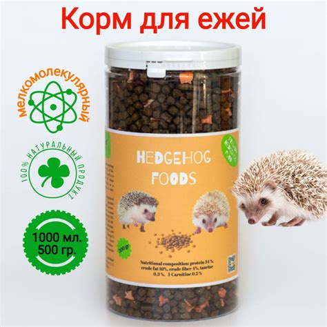 Специализированные корма для ежей: альтернатива кошачьему корму
