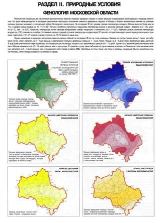 Специфика зимнего периода и особенности самшита в пригородах Москвы
