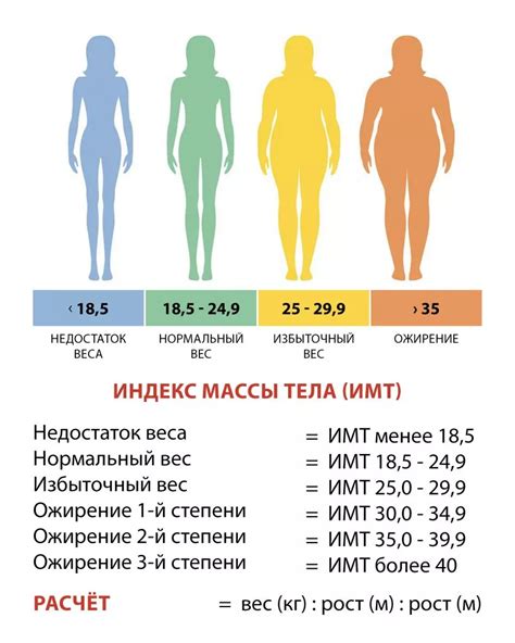 Способы изменить свою массу тела быстро и причины, почему это требует усилий